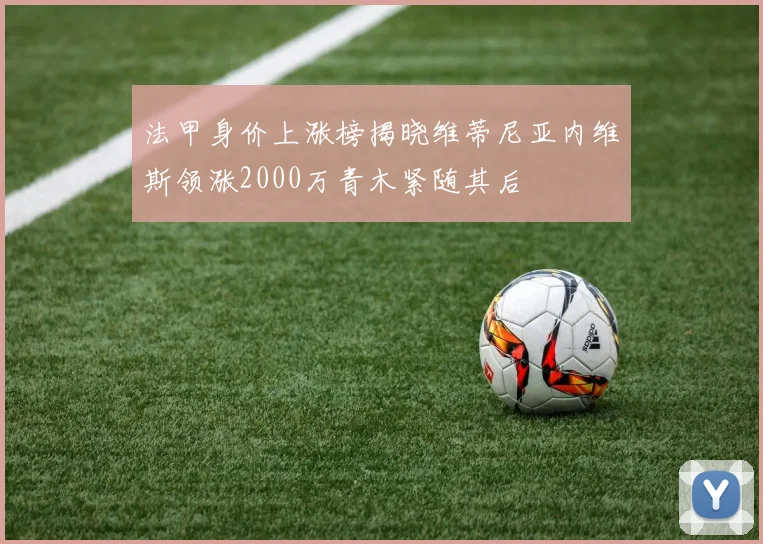 法甲身价上涨榜揭晓维蒂尼亚内维斯领涨2000万青木紧随其后