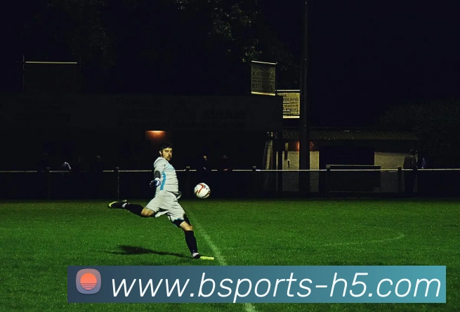 B体育APP 封面图